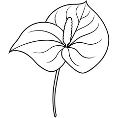 Sticker - Anthurium Line Art Botanical Vector
.