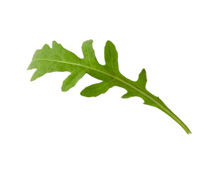 Sticker - One fresh arugula leaf isolated on white