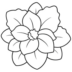 Sticker - Begonia Flower Line Drawing Vector
.