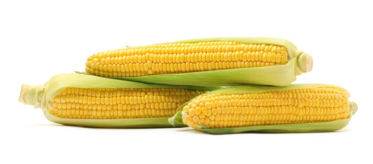 Wall Mural - Corncobs with green husks isolated on white