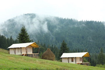 Canvas Print - Green forest and tents in mountains. Glamping site