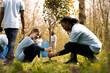 © DC Studio - Two diverse girls working together to plant more seedlings and greenery, filling up ground holes and growing vegetation. Child and teenager collaborating on protecting the forest ecosystem.
