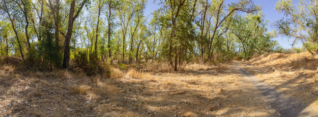 Wall Mural - Hiking trail near the lake Natoma panorama 