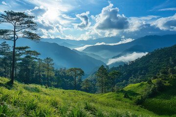 Scenic view of lush green mountains and pine trees under a bright blue sky with clouds, representing nature, tranquility, and outdoor exploration