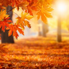 orange fall leaves autumn natural background with maple trees autumnal landscape