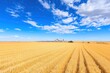© Watercolor_Kawaii - Golden wheat field under a bright blue sky with fluffy clouds and a barn in the distance, showcasing rural tranquility.
