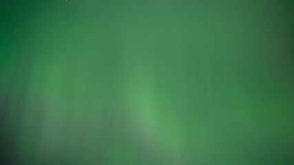 Wall Mural - pale green aurora flash across the night sky in this time lapse. only sky is shown.
