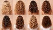 © Alpha - Before-and-after images of various curly hair patterns, showcasing the natural frizz and how honey treatment transforms the curls into smooth, bouncy spirals
