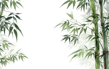 Bamboo leaves on white background with green natural elements