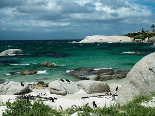 rocks on the beach with penguins along the shore