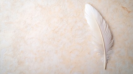 A soft white feather lies quietly on a warm beige backdrop, emphasizing its delicate texture and elegance in soft natural light