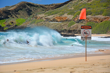 Wall Mural - Bodyboarders at Sandy Beach on the island of Oahu in Hawaii