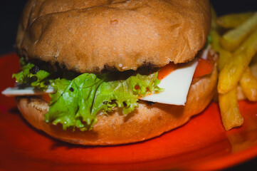 A close-up of the burger at the cafe. 