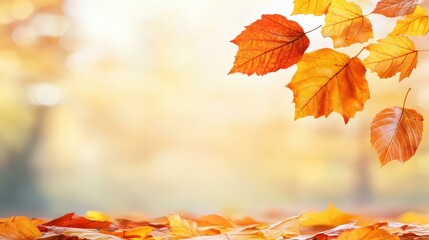 Sticker - Experience the beauty of autumn as leaves shimmer in golden rays, creating a stunning backdrop of rich colors and warmth.