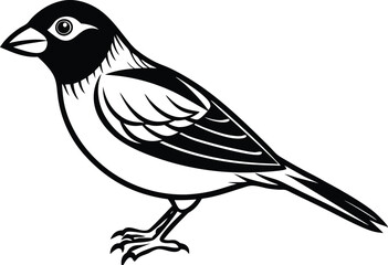  Line art drawing of Silhouette black grosbeak bird vector art illustration 