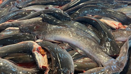 Fresh Fish for sale in the seafood market.Fresh fish for sale in a butcher shop.Fish meat on the stall. selling fresh fish in traditional market. traditional butcher stall.