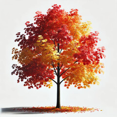autumn tree illustration