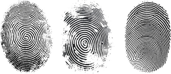 Vector black fingerprint on white Transparent  background.