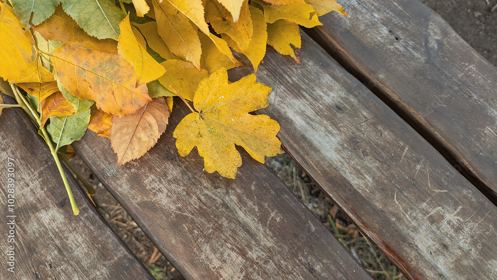 Bright Autumn Leaves on a Rustic Wooden Bench. Photo background of ...