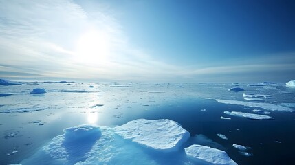 Wall Mural - 75. a vast expanse of ice floes drifting in a serene polar landscape
