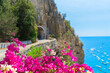 © neirfy - famous picturesque winding road of Amalfi coast, summer with flowers, Italy