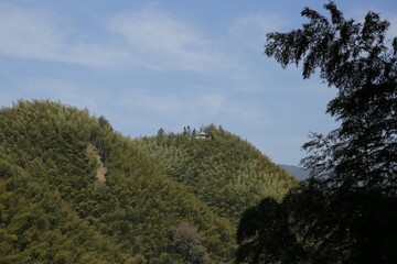 Scenic view of Zhuhai Scenic Area, Mukeng, Sichuan, China