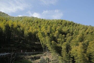 Scenic view of Zhuhai Scenic Area, Mukeng, Sichuan, China