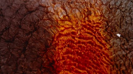 Wall Mural - vibrant red and orange liquids blending together in a mesmerizing abstract macro shot