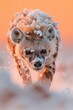 © yuliachupina - A hyena walking through snowy terrain at sunset with frost-covered fur in a serene landscape