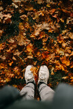 Fototapeta Góry - First person view looking down on colourful autumn leaves wearing white sneakers