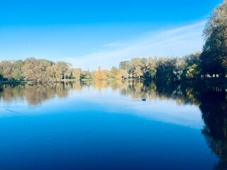 autumn trees reflection on the lake surface, blue lake reflection, golden autumn, lake in the park with quiet water as a mirror 