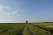© Wirestock - Serene rural landscape with dirt road and clear sky
