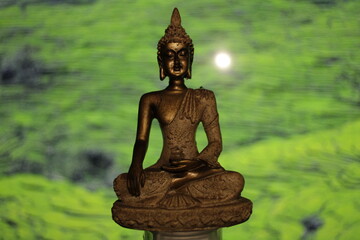 Earth Touching Buddha Statue with colorful backdrop with copy space, Bhumisparsha Buddha, Buddha in a seated meditation pose with his right hand touching the earth. 