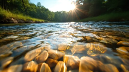 Sunlight sparkles on a river as it flows over smooth stones, surrounded by vibrant green forest, creating a peaceful natural scene full of movement and light.