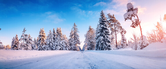 Wall Mural - Beautiful snowy road in natural park after snowfall.