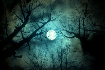 Halloween background. Night mysterious landscape in green tones - full moon in the night sky and dramatic night clouds, mysterious creepy forest. Night sky Halloween gothic background