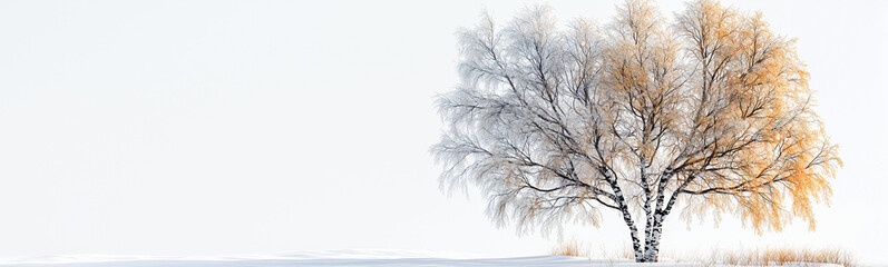 Winter's Embrace: A solitary birch tree, adorned in frost and hints of autumn, stands stark against a snowy expanse. A minimalist winter landscape. 