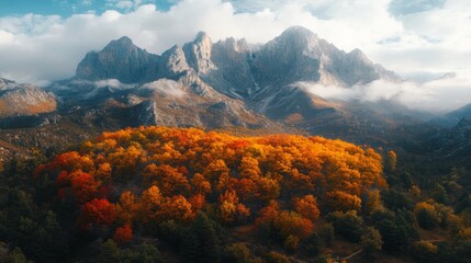 Poster - Autumnal Forest at the Foot of a Majestic Mountain Range