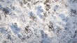© Iana - Snow-covered winter ground background, natural texture, top view