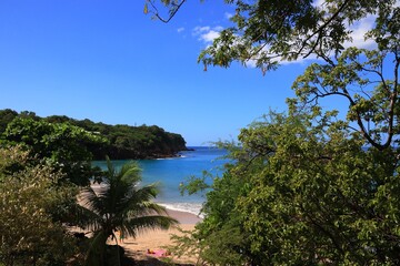 Canvas Print - Deshaies beach in Guadeloupe