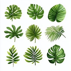 Sticker - Nine tropical leaves in various shapes and sizes.