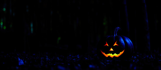 glowing jack-o'-lantern the dark forest