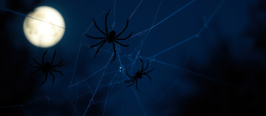 three black spiders on a web under a hazy moon