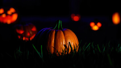 Sticker - single lit pumpkin a grassy patch