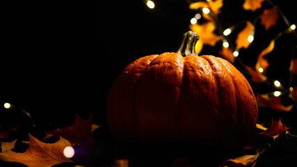 Poster - pumpkin among the autumn leaves