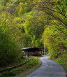 © Jakub - the road to the old unused former german train station near a hill densley covered with deciduous and coniferous forests