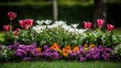 © pinporn manosri - Vibrant Flowerbed with Colorful Blooming Flowers