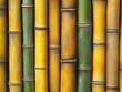 © Andrew - Bamboo Stalks, a close-up view of smooth, vertical bamboo stalks.