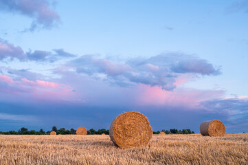 Colorful shot of wheat sheaves after harvest at sunset with lush dramatic clouds. Autumn landscape with hay bales.