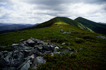 Poster - Beautiful mountains landscape. Carpathians, Ukraine.